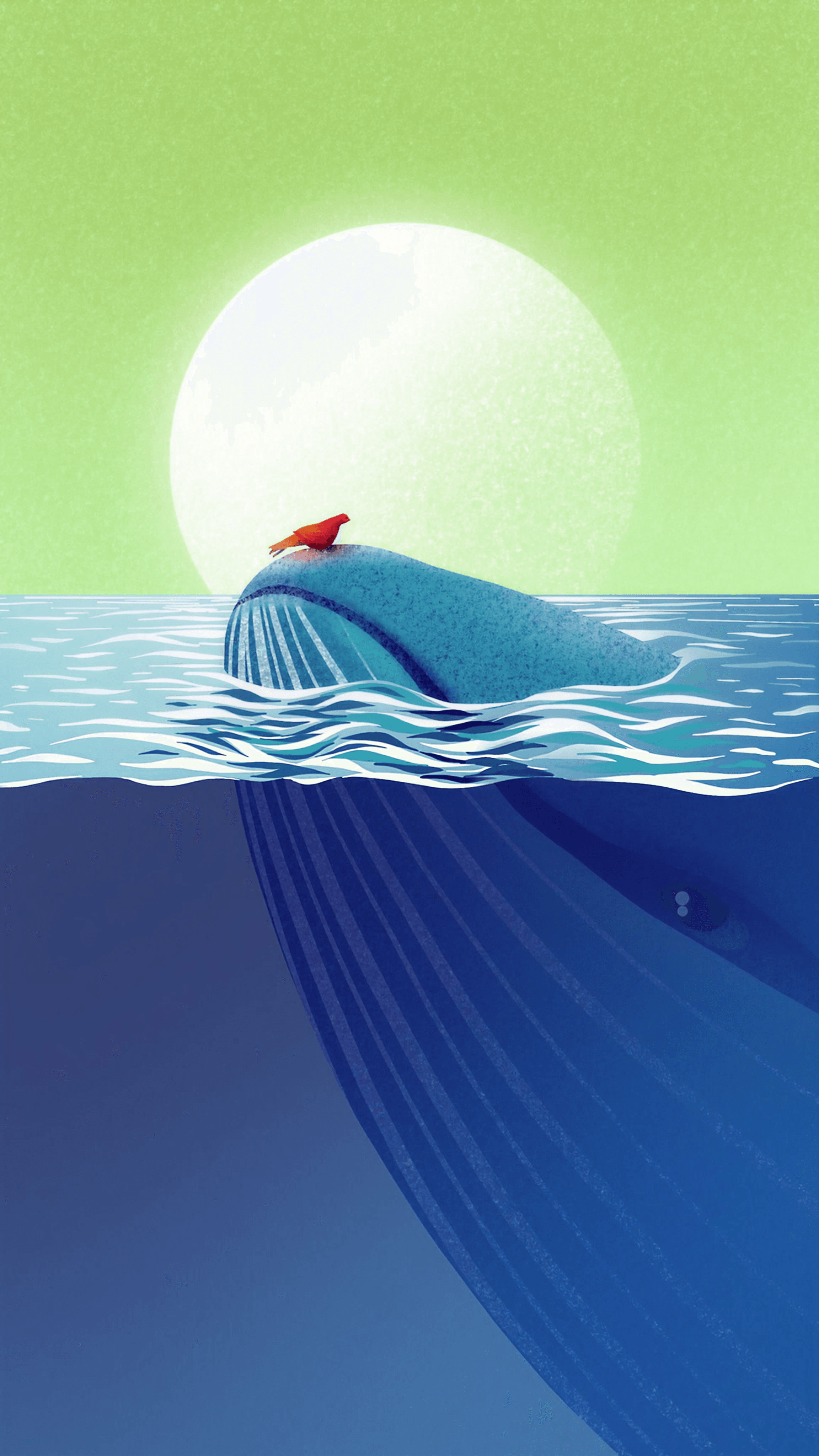 A whale breaching the water's surface with a small red bird resting on its back