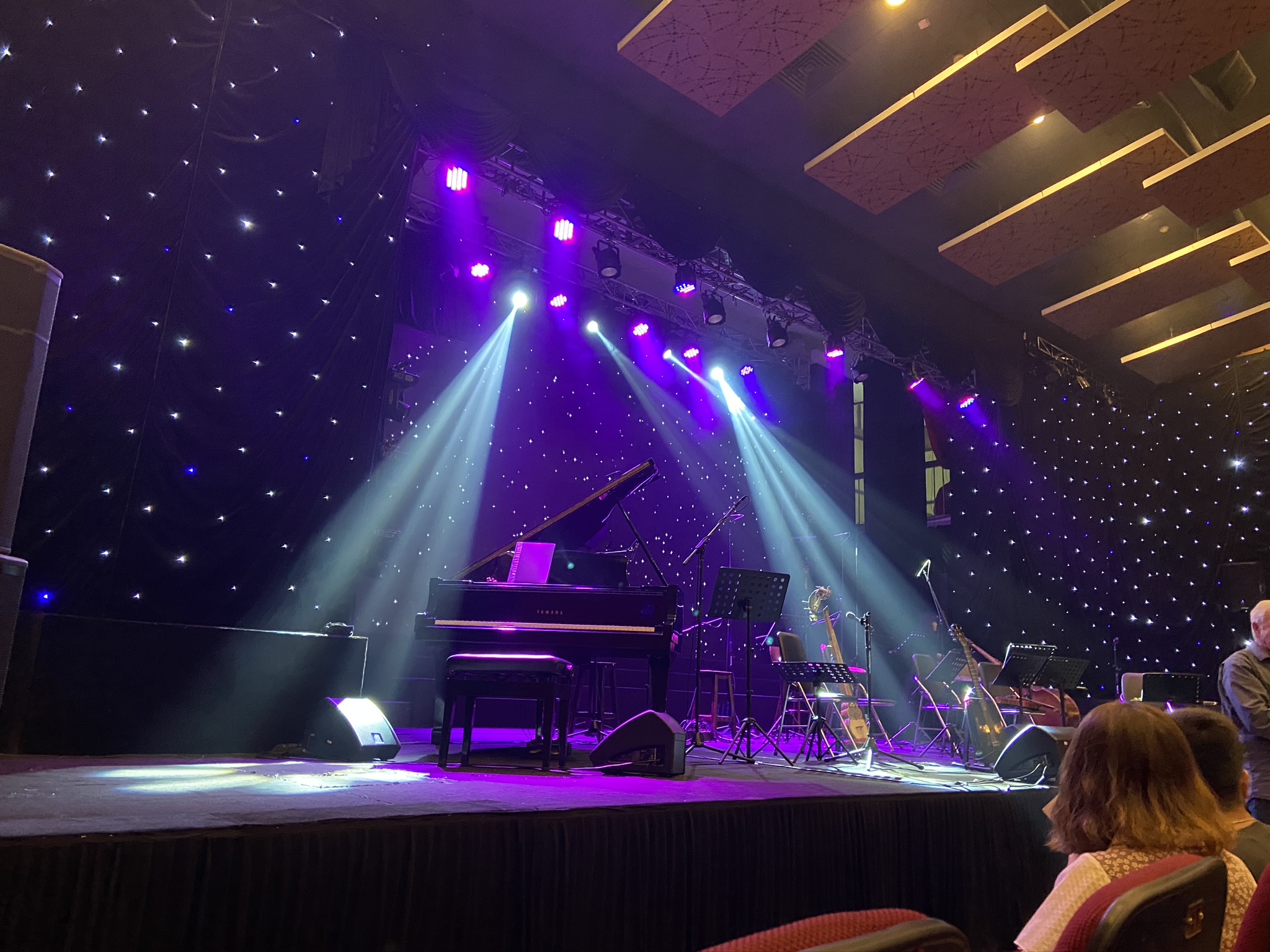 A Le Cat Trong Ly concert