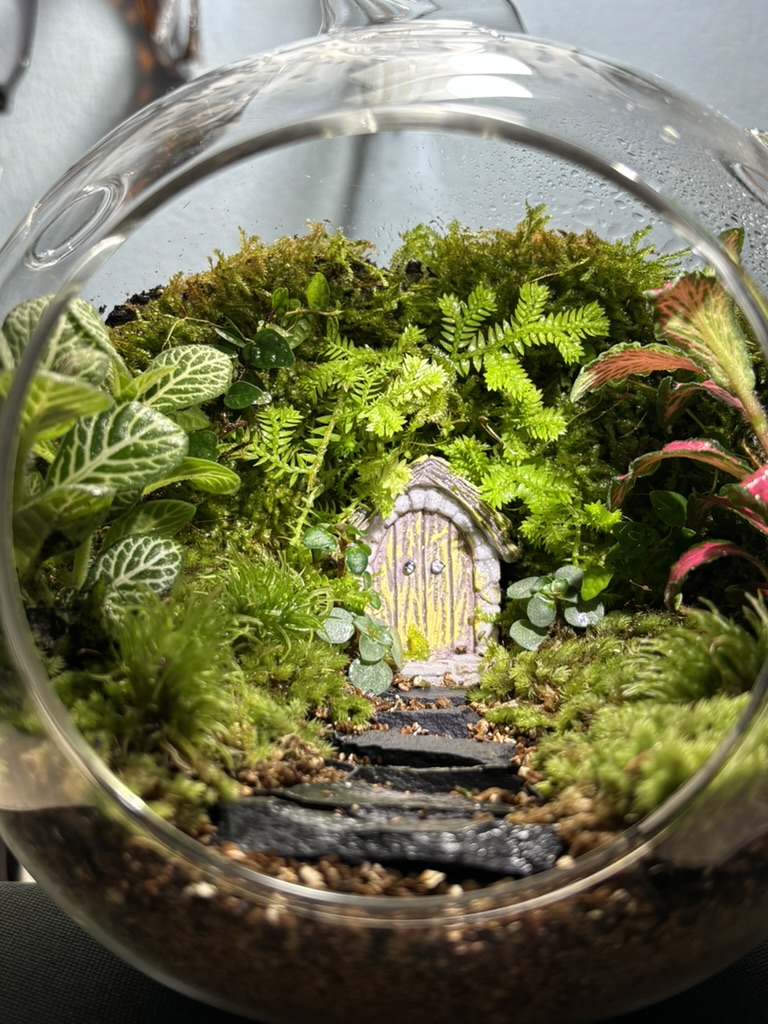 A handmade terrarium
