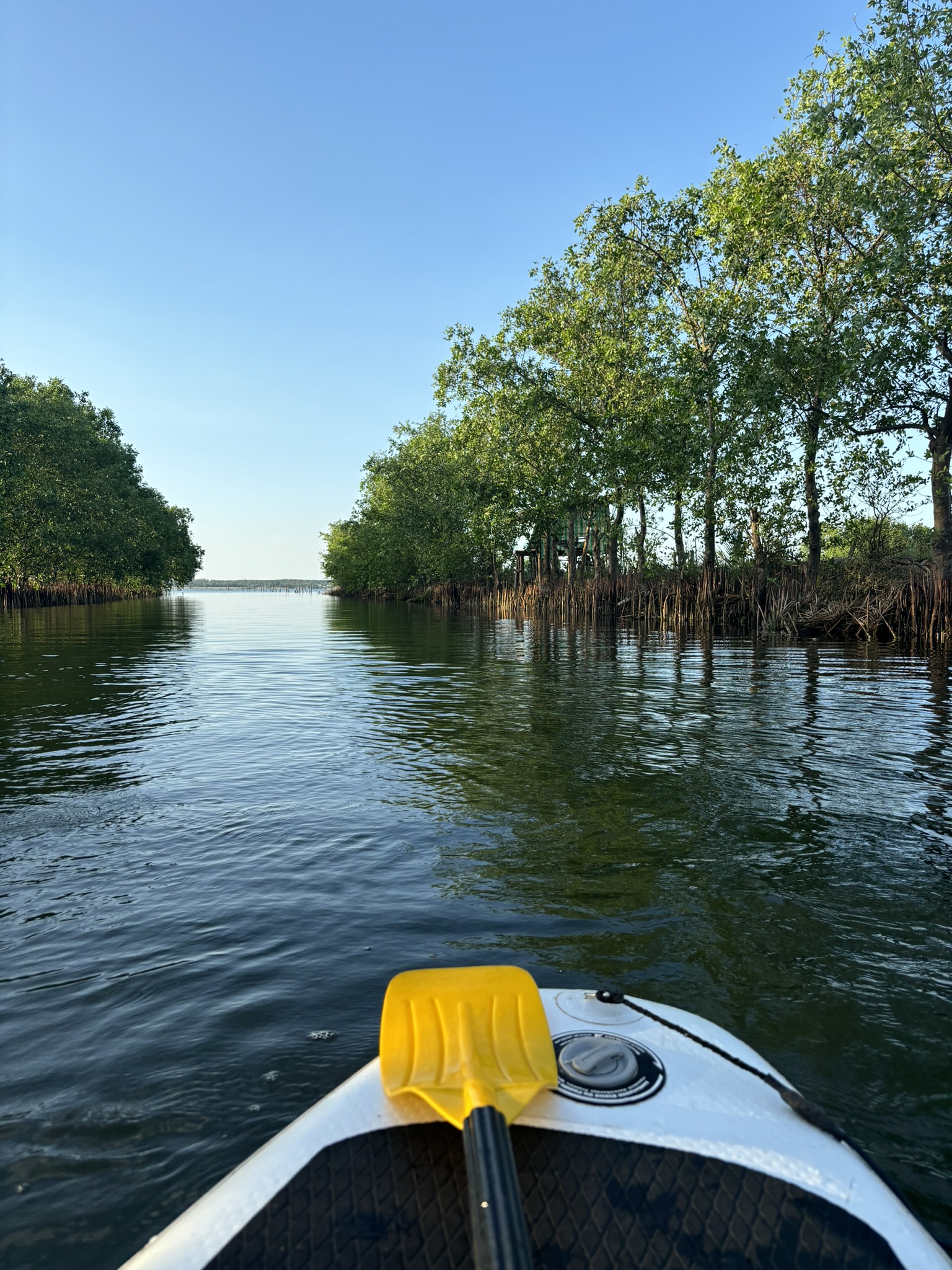 A stand up paddleboarding wanderer moment