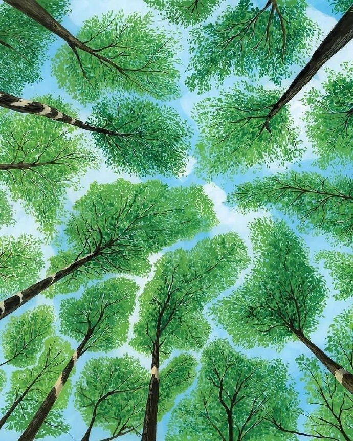 Illustration looking up through a canopy of green trees
