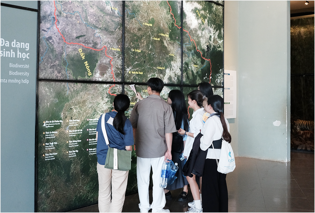 Team reflecting on an exhibition visit